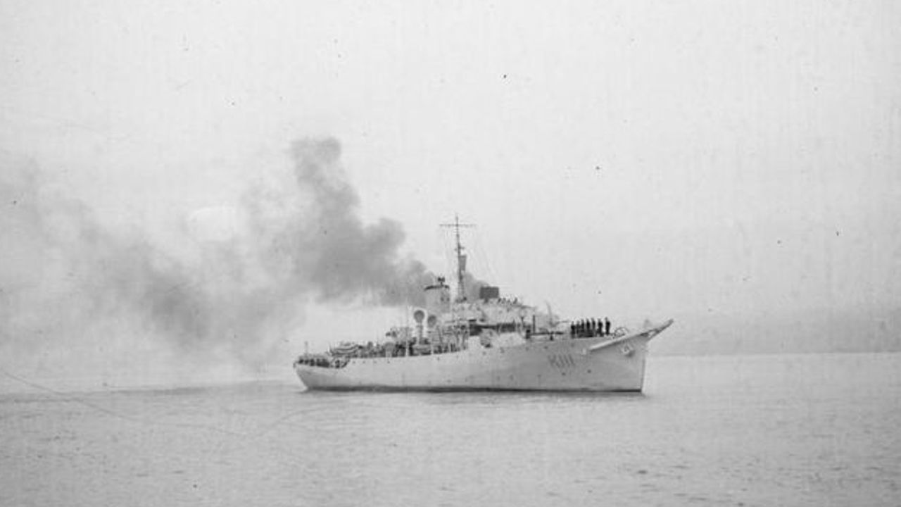 HMS Pennywort, Flower Class Corvette