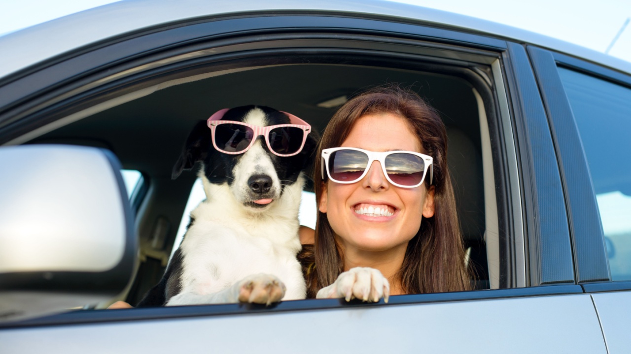 Sunglasses get dirty so easily - keep them spotless with a cleaner