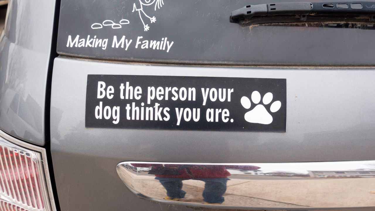 "Be the person your dog thinks you are." Humorous bumper sticker.