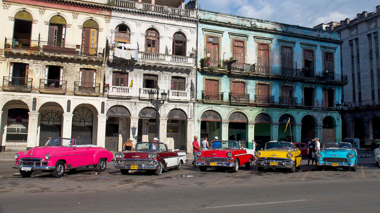A lineup of classic cars