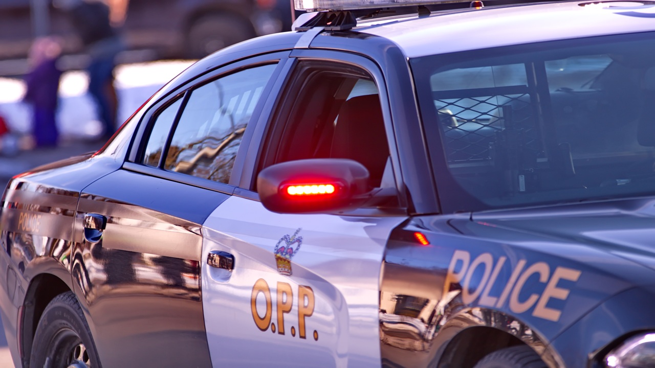 A police car cage is visible through the windows of the car. 