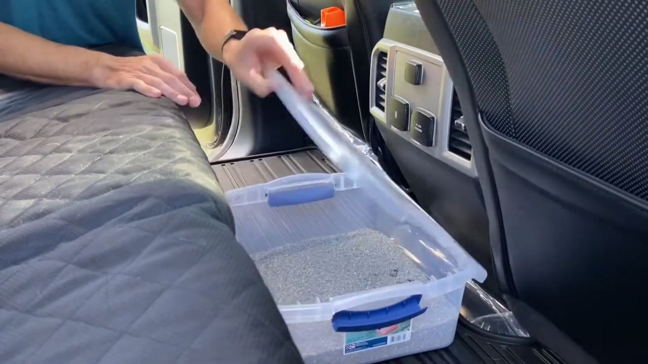 portable litterbox in car