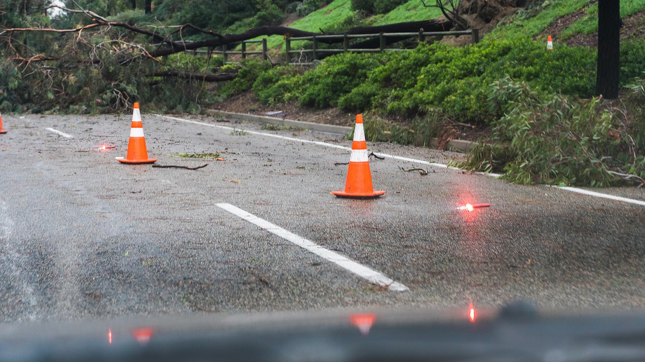 Fallen Tree Blocking Road with Cones and Flares