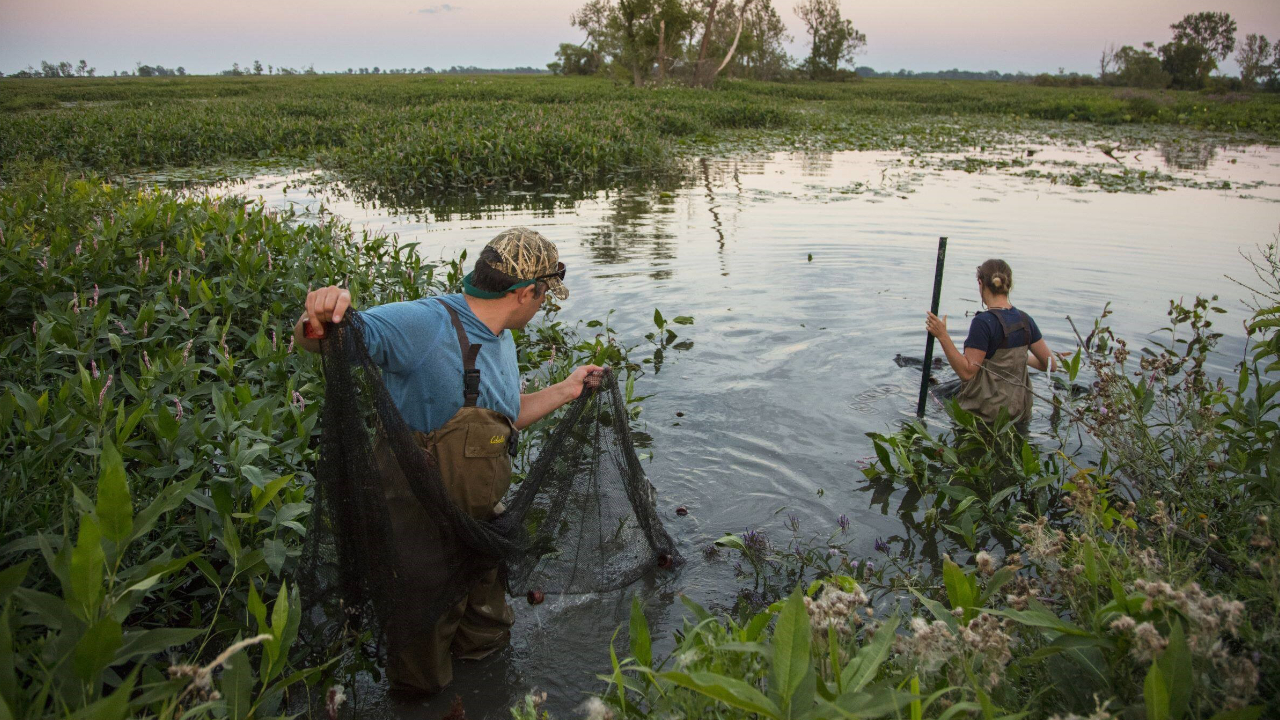 Kia America Joins Forces with The Nature Conservancy to Support Freshwater Conservation