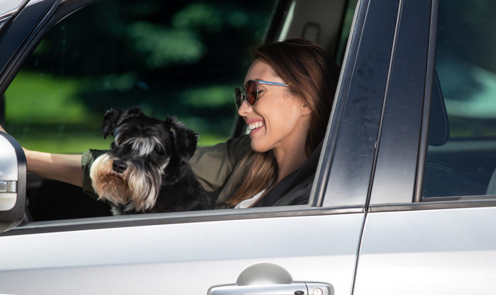 Dog in drivers lap scaled