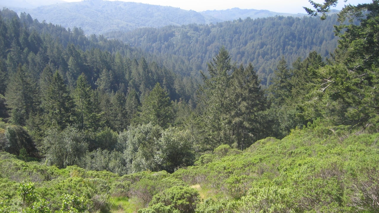 Muir Woods National Monument