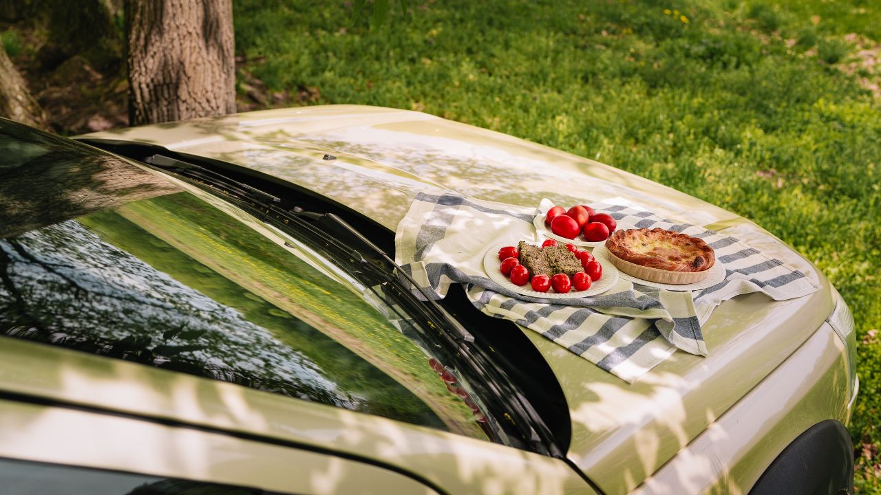 Food on car hood in forest