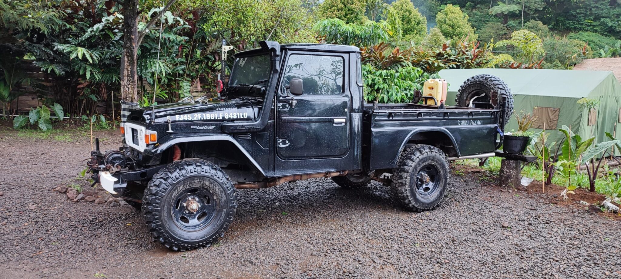 shutterstock 2087457370 1 scaled