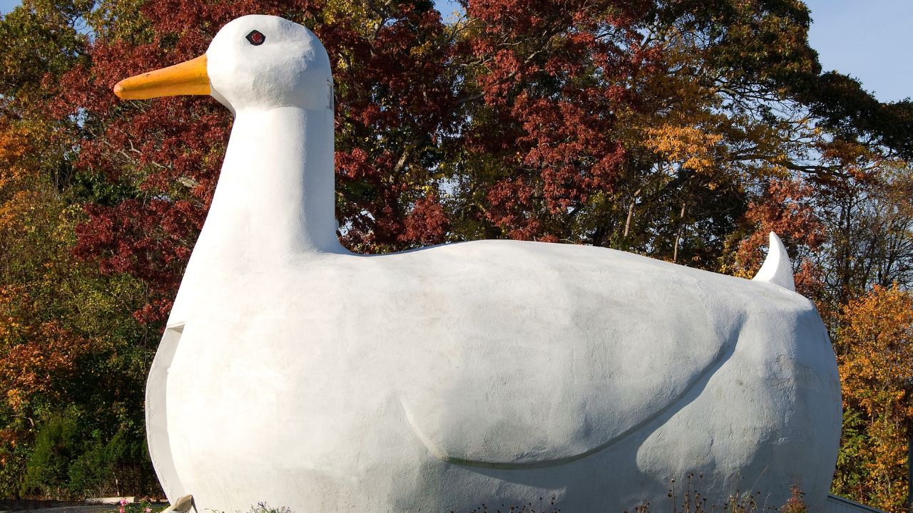 The Big Duck — Flanders, New York