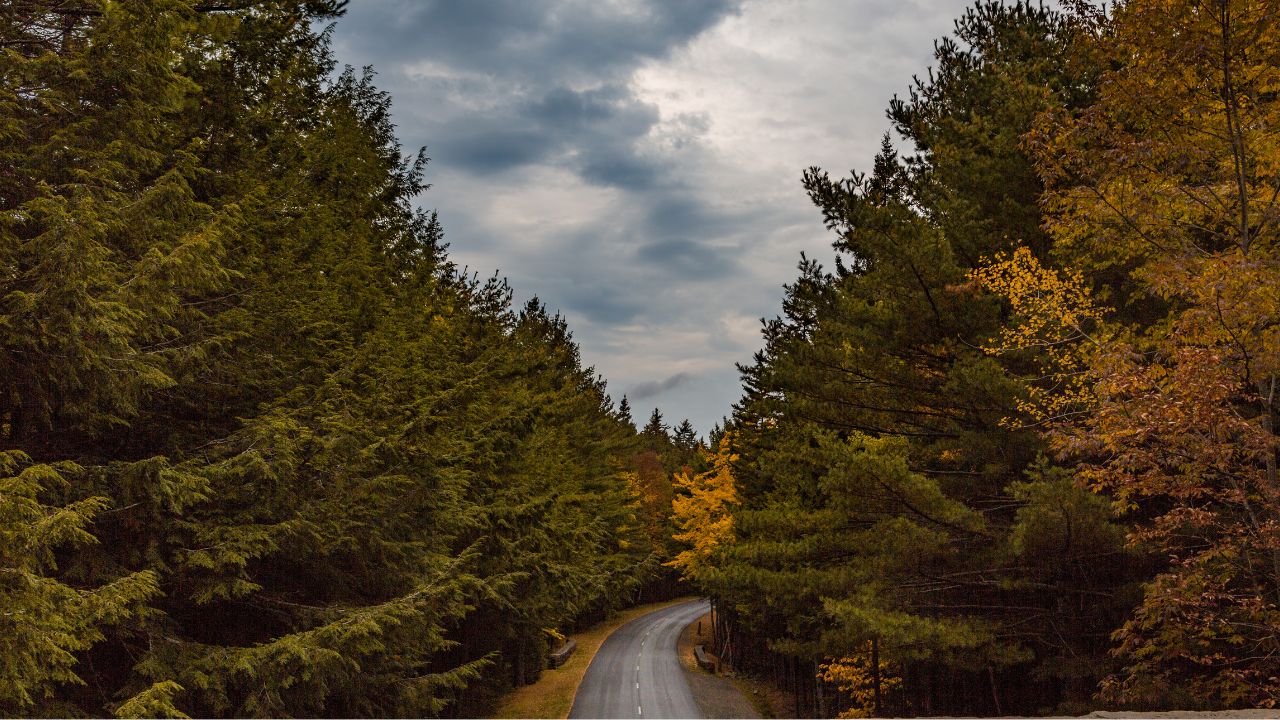 Acadia’s Park Loop Road