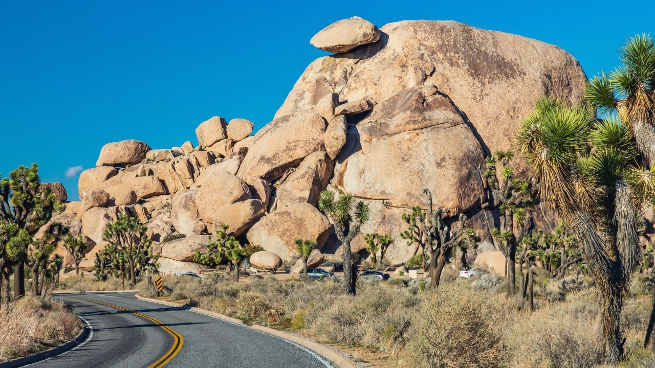 Joshua Tree National Park