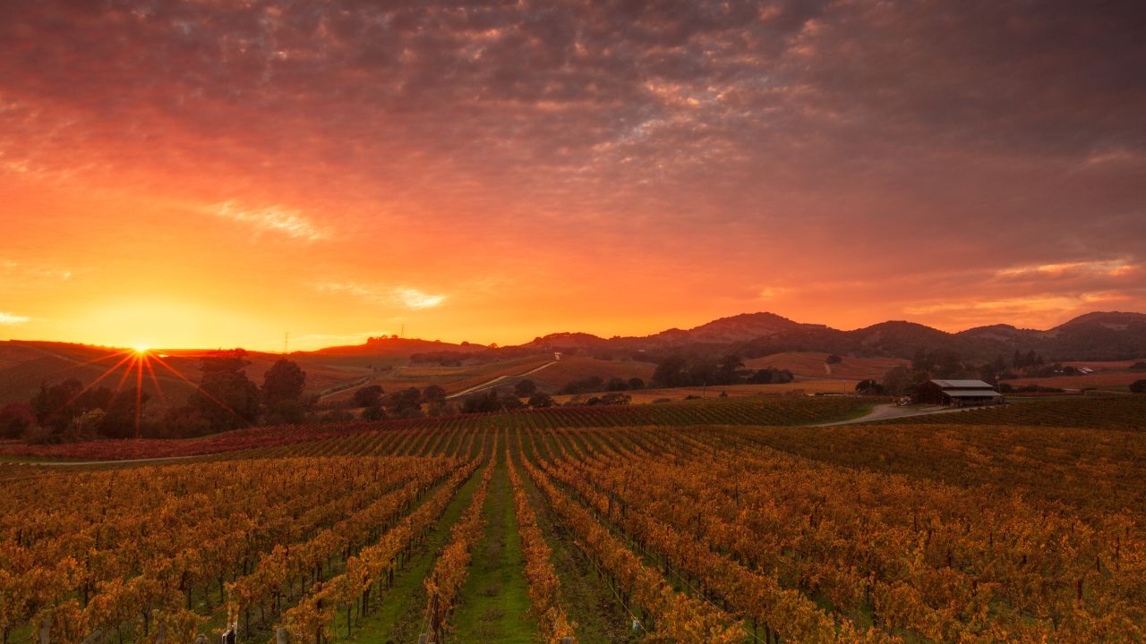 California Wineyards