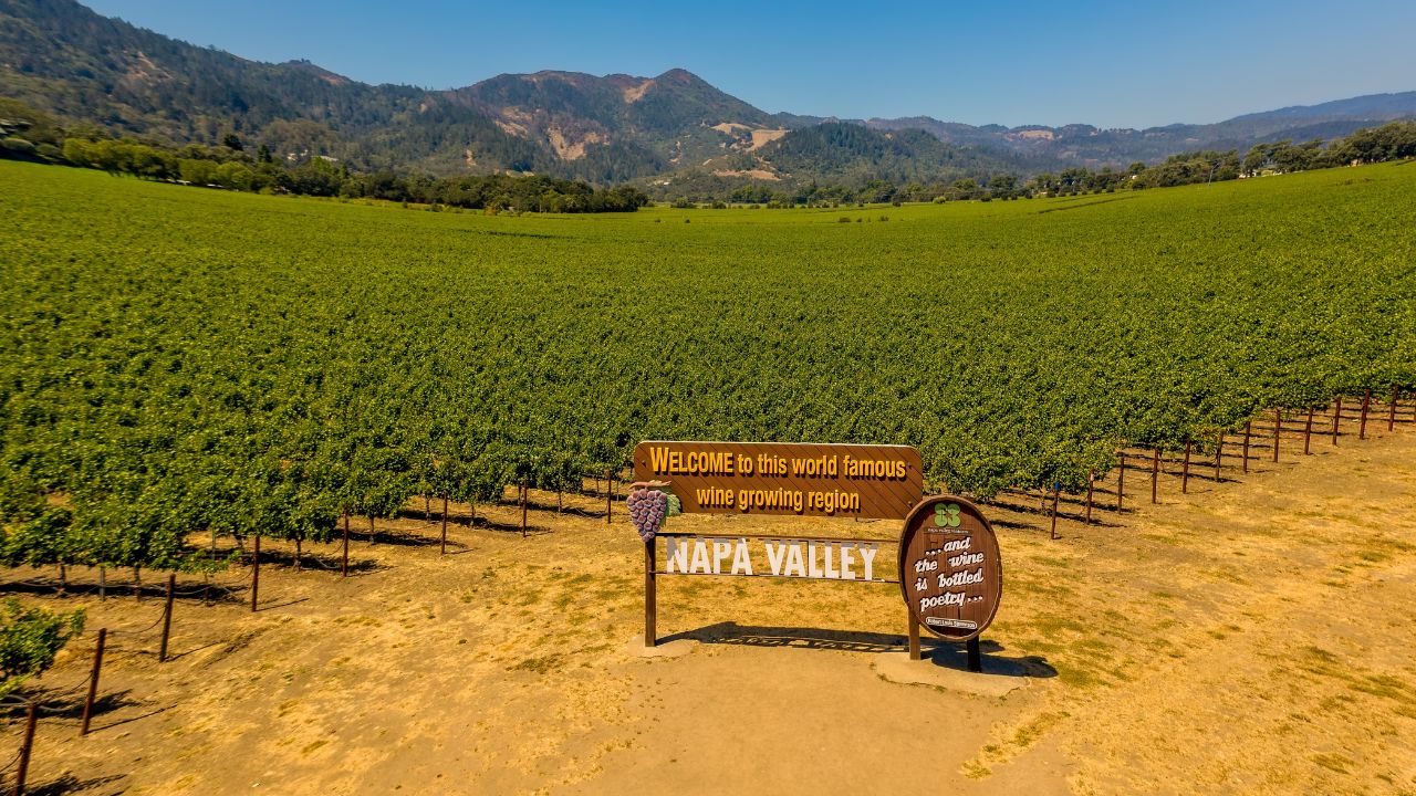 California Wineyards