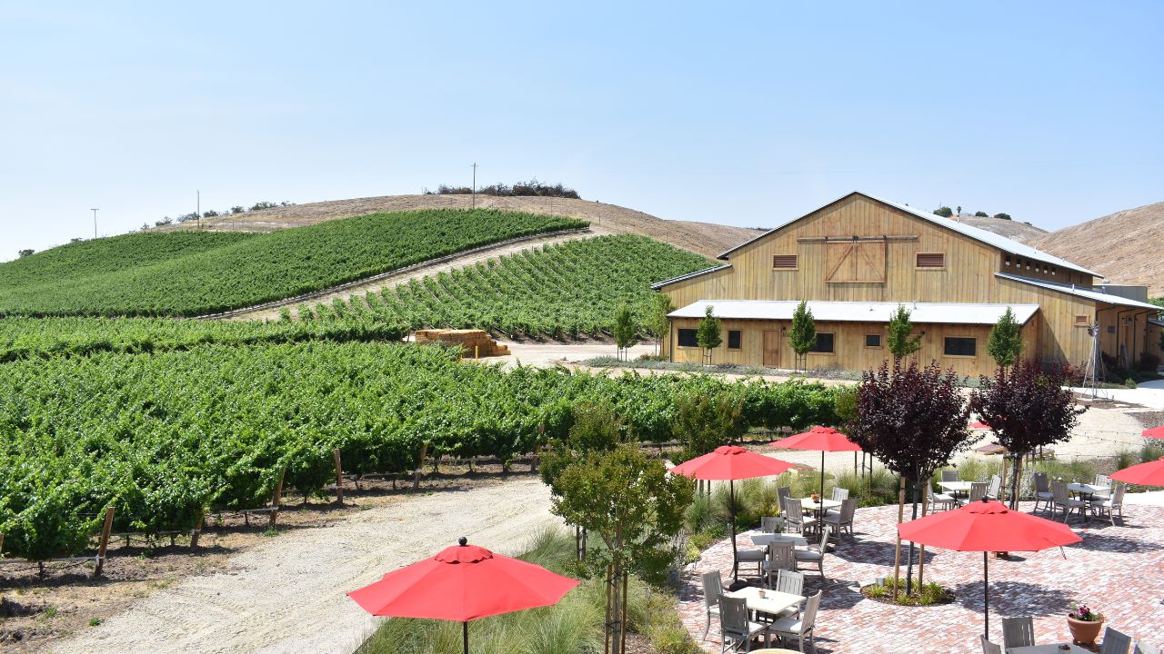 Paso Robles Wineyard