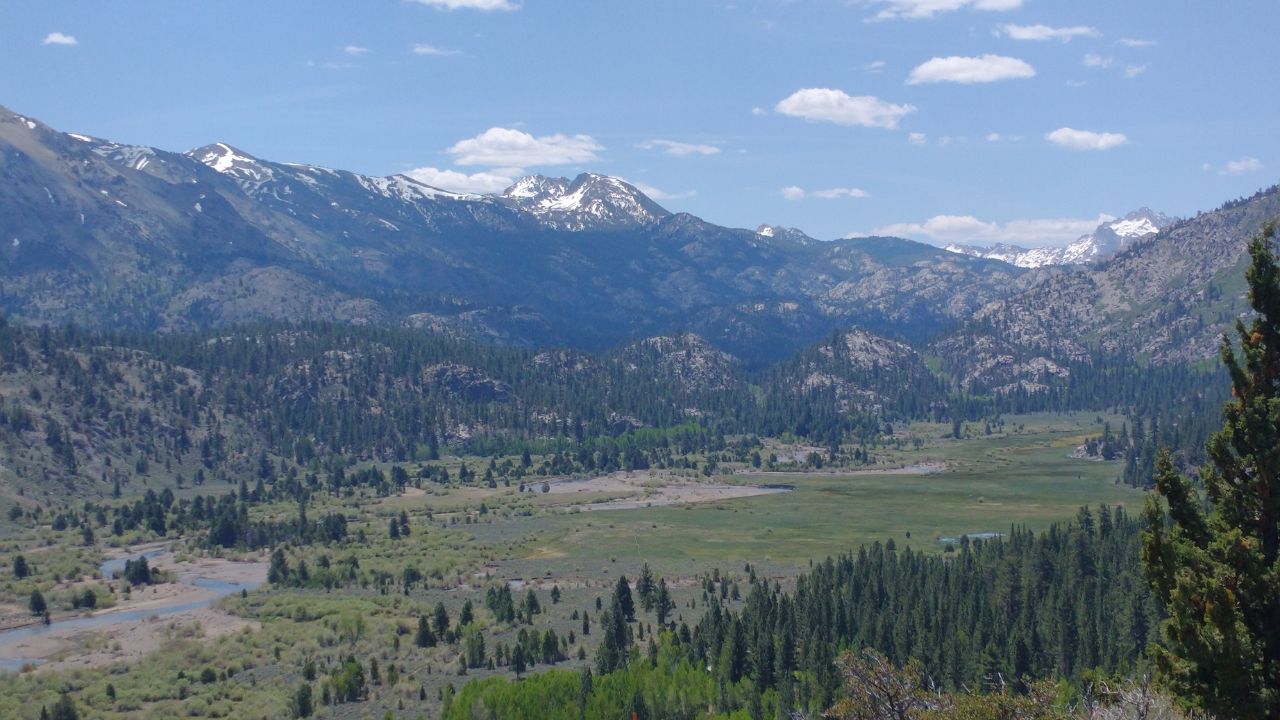 Sierra Foothills
