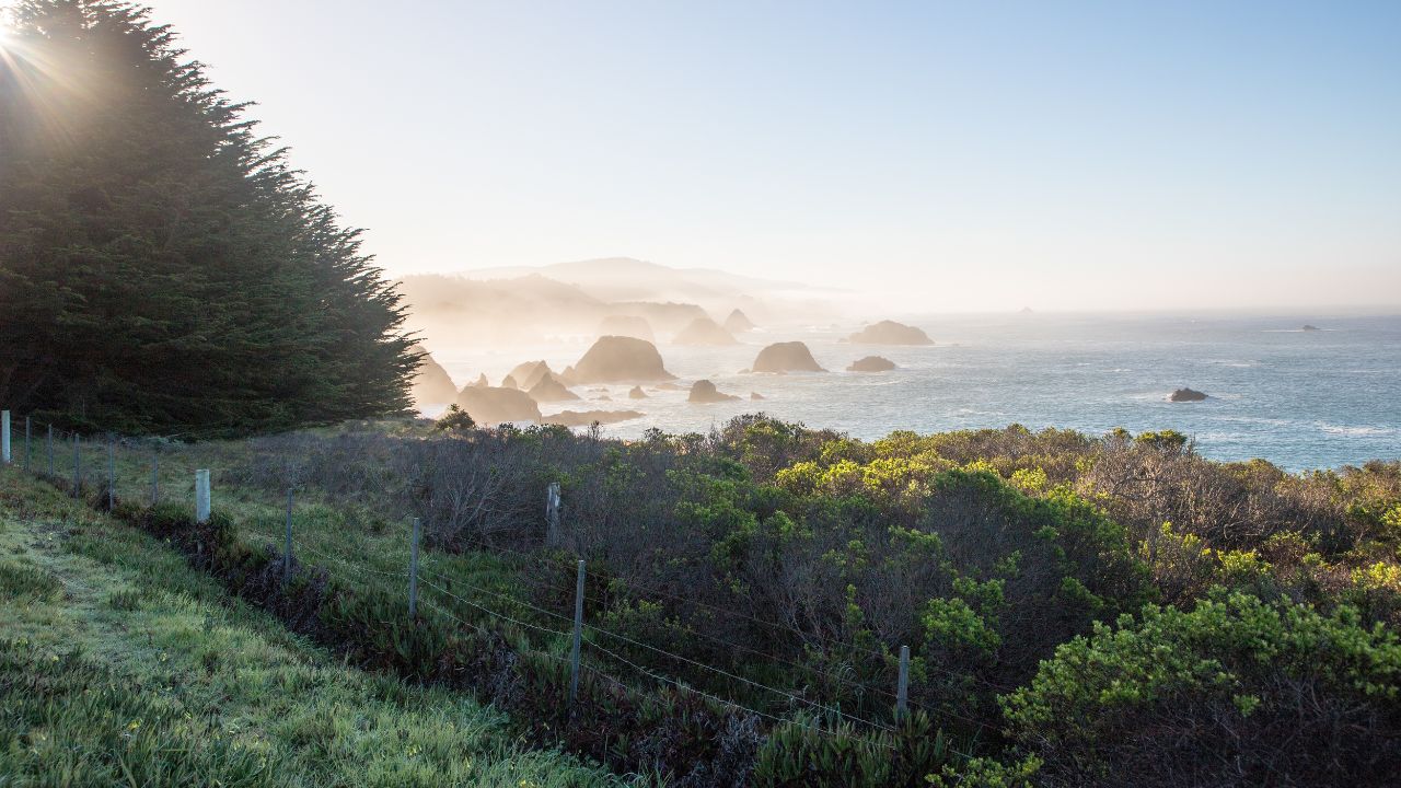 Mendocino Coast