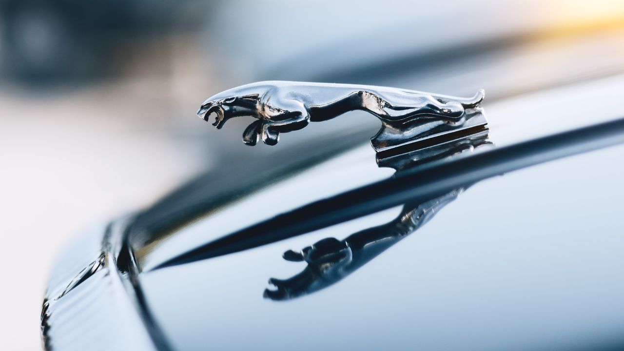 Jaguar Leaper