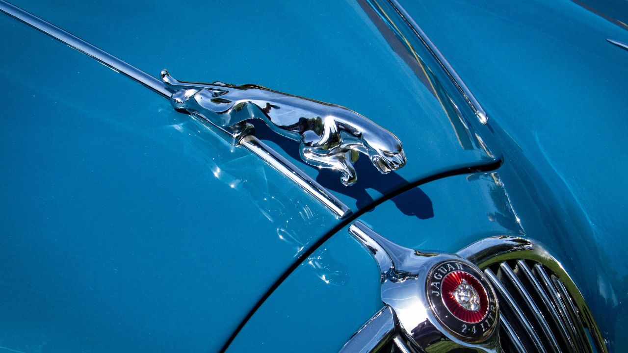 Jaguar Leaper