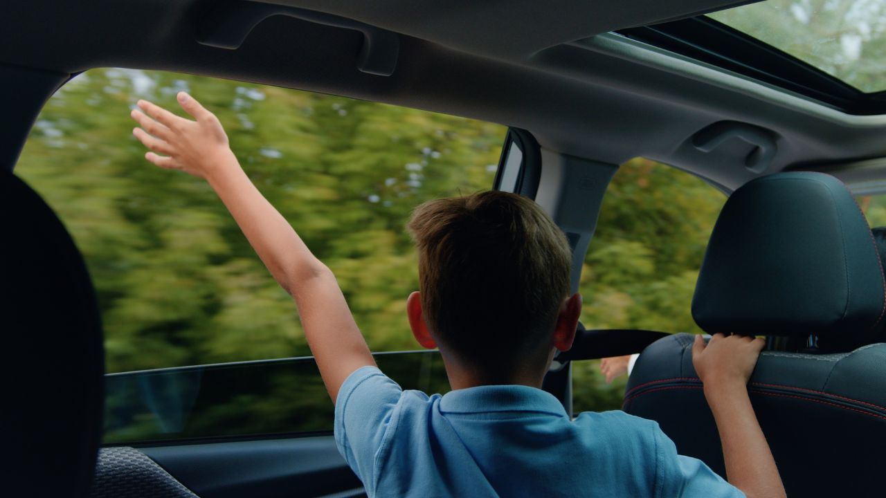 Rear Car Window