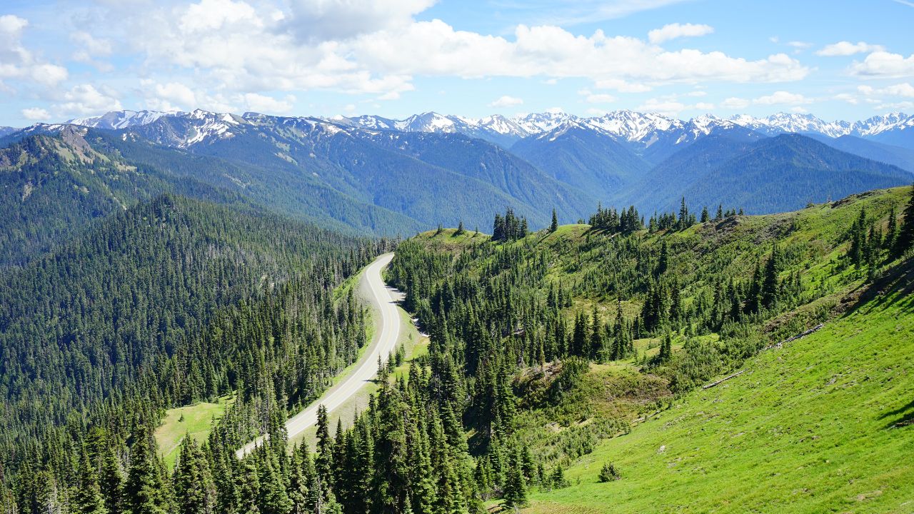 Olympic National Park