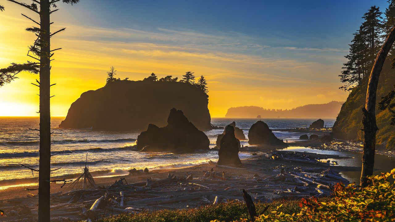 Olympic National Park, Washington