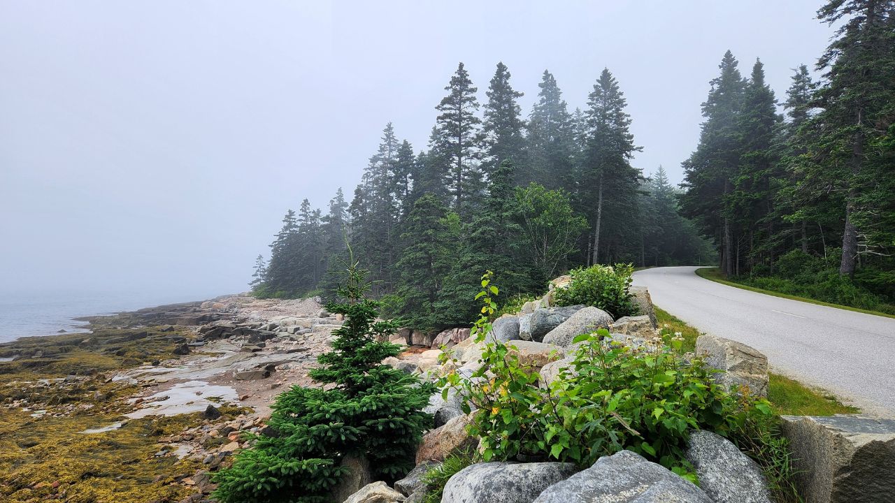Route 1 Coastal Drive