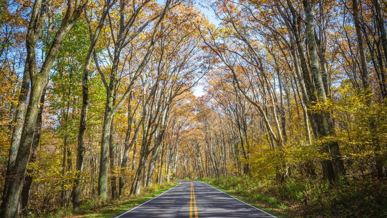 Shenandoah National Park