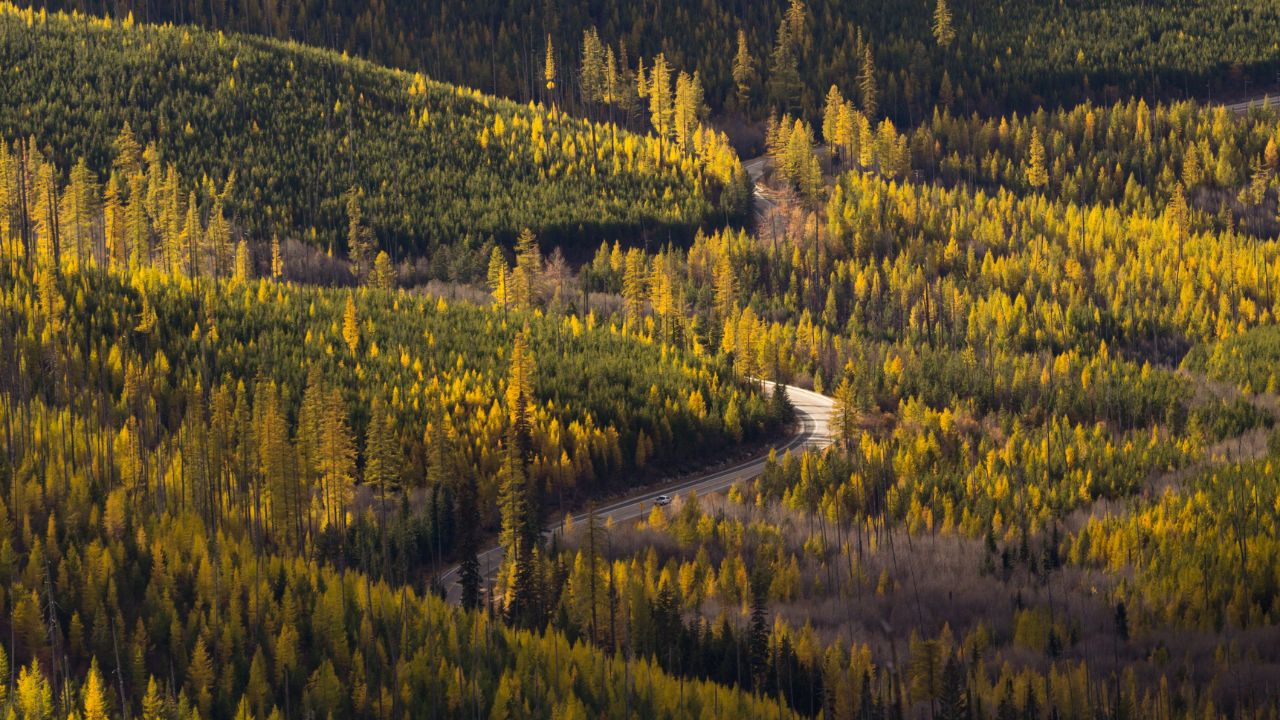 Sherman Pass Road