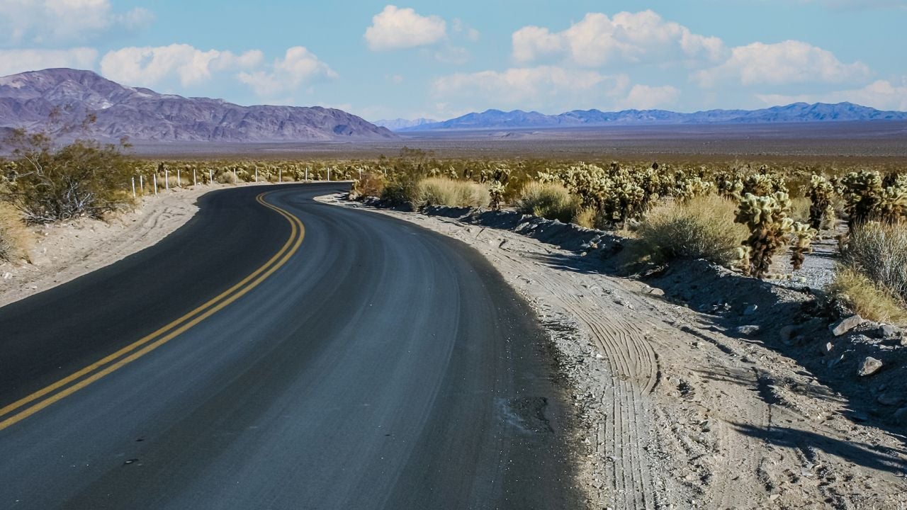 Joshua Tree Desert Drive