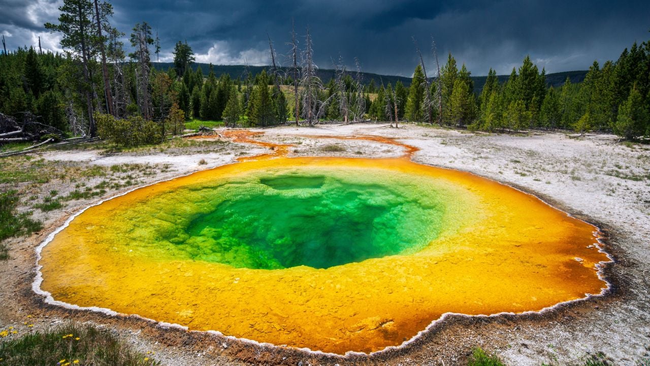 Yellowstone National Park 2