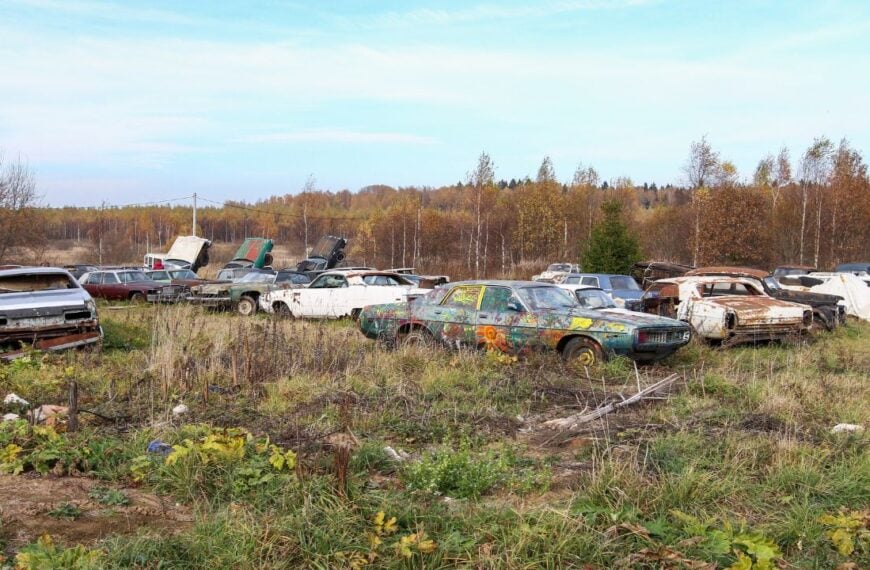 Old Muscle Cars in a Field, Vintage Junkyard
