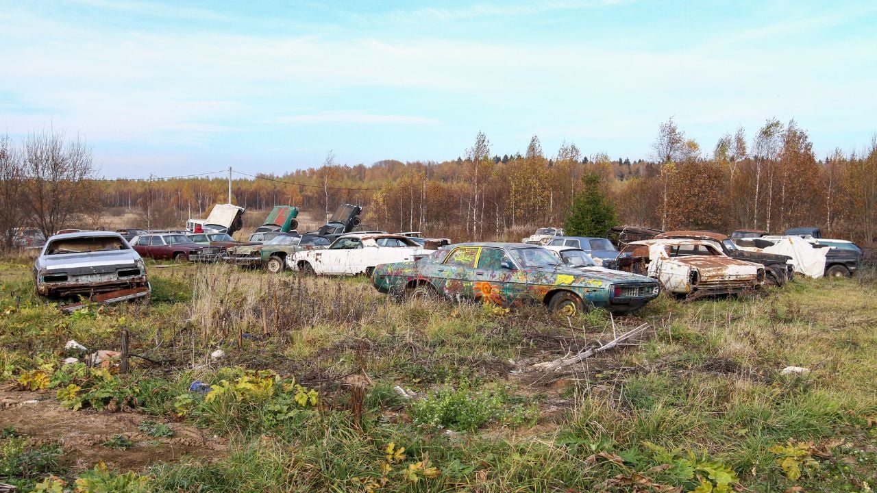 Old Muscle Cars in a Field, Vintage Junkyard