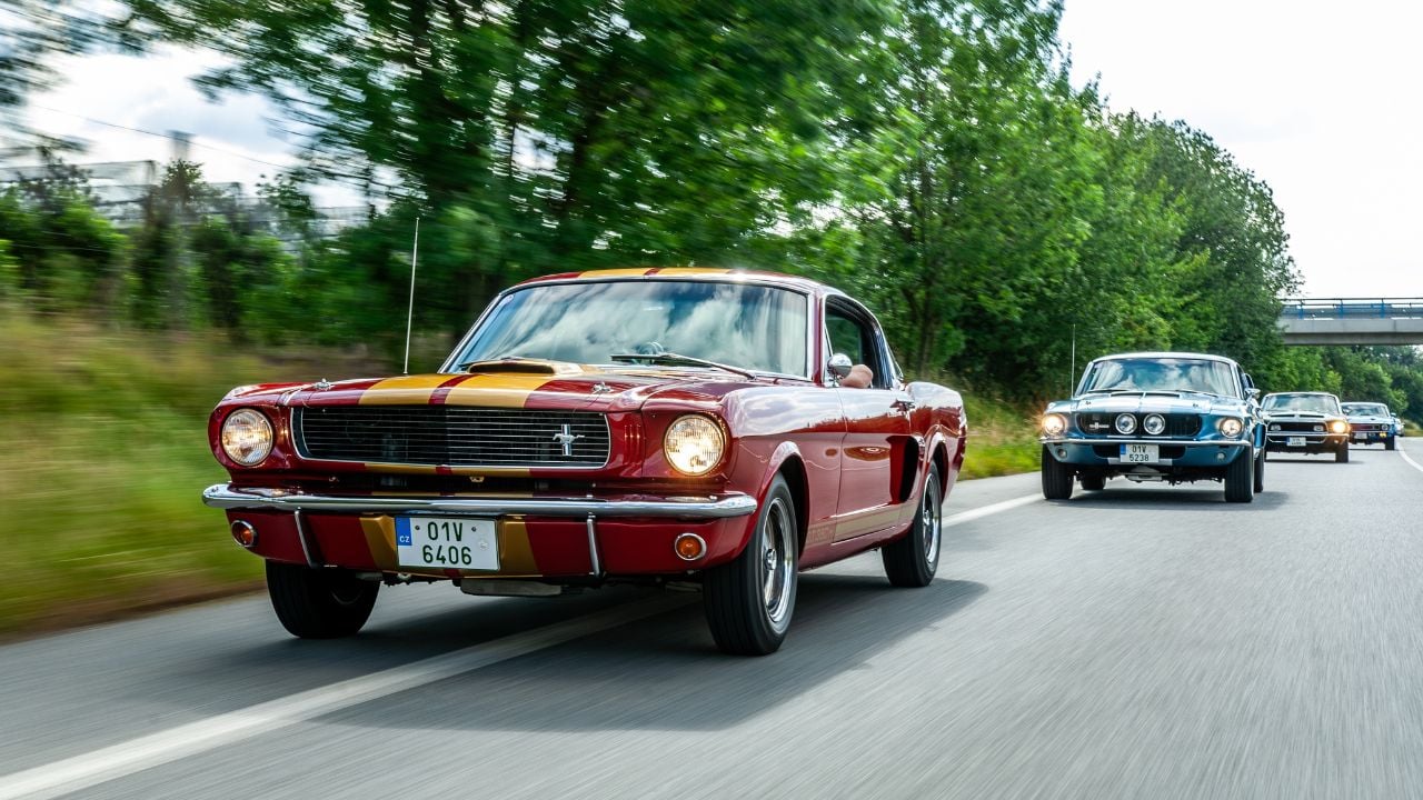 Classic American Muscle Cars Cruising