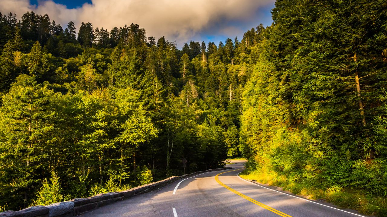 Newfound Gap Road, in Great Smoky Mountains National Park, Tennessee.