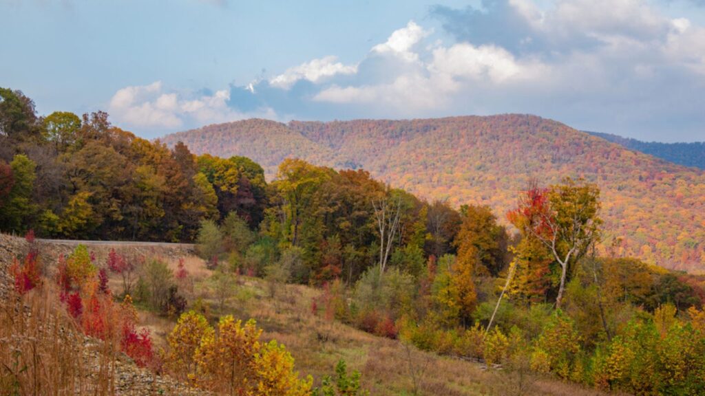 _Fall Colors in the Ozark National Forest