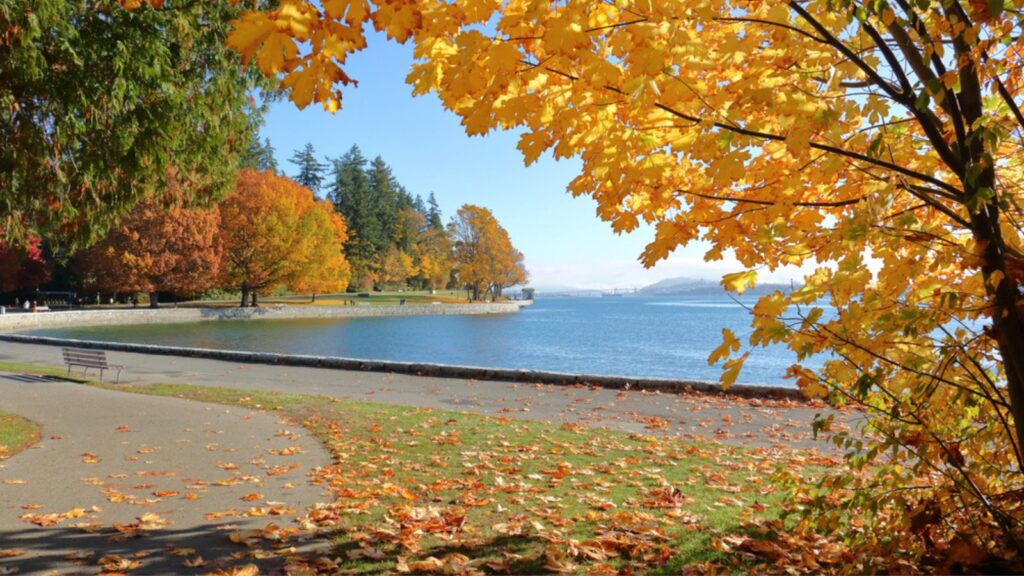 Stanley Park Seawall Walkway during fall
