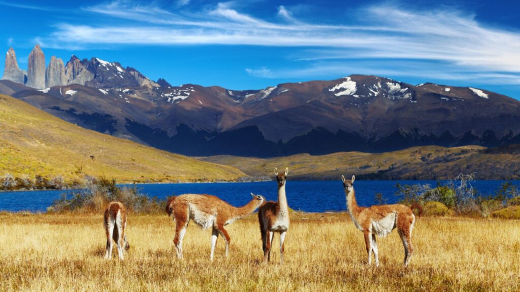 Torres del Paine, Patagonia, Chile