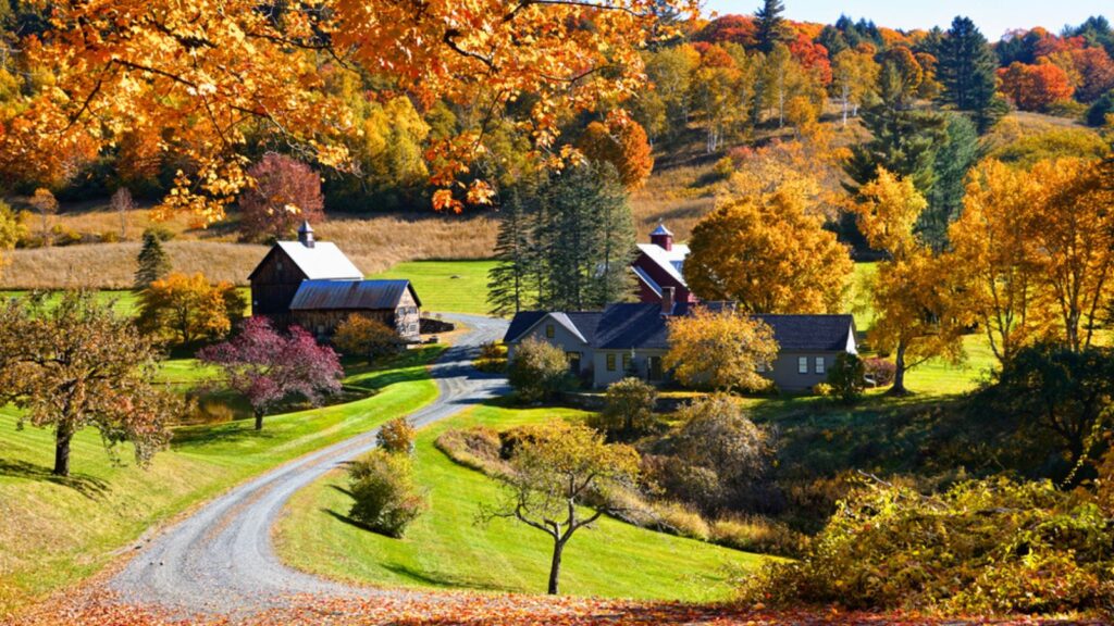 Vibrant fallen autumn leaves with rustic wooden barn in the countryside near Woodstock, Vermont, USA