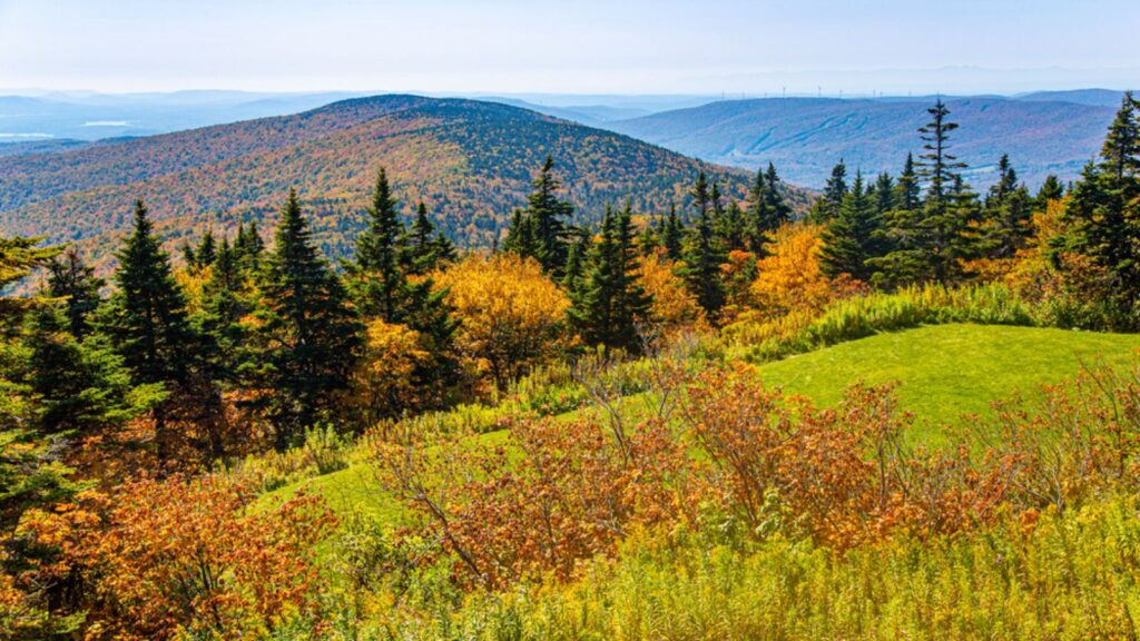 View from the top of Mount Greylock in Massachusetts