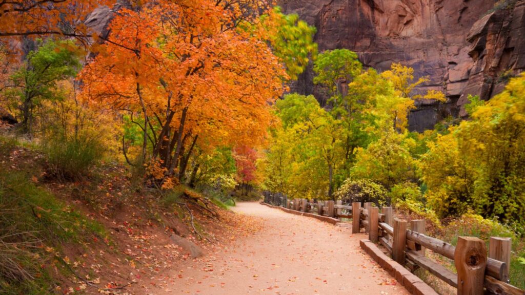 Zion Canyon Trail with Foliage Motion Blur