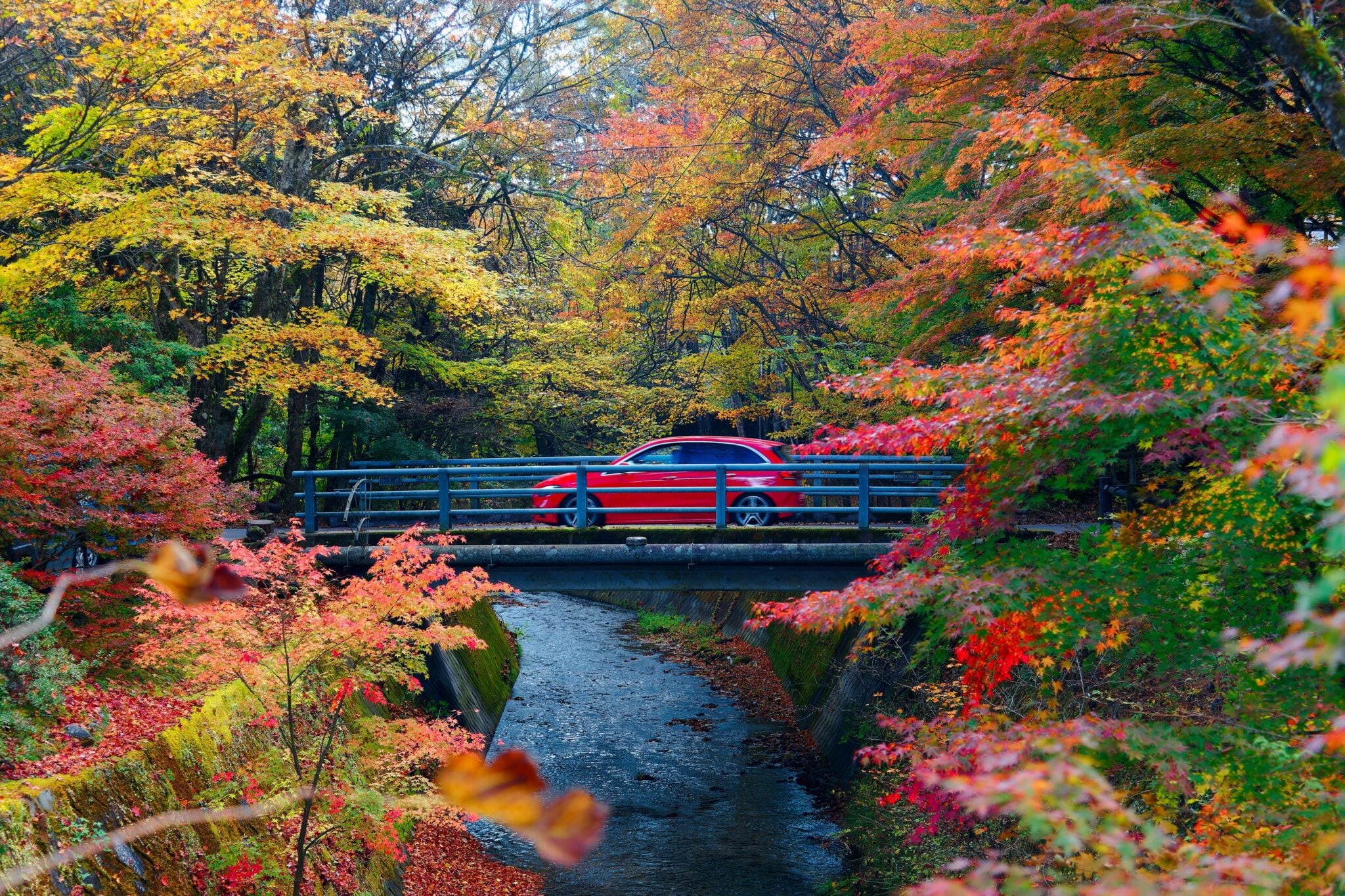 car on bridge in fall