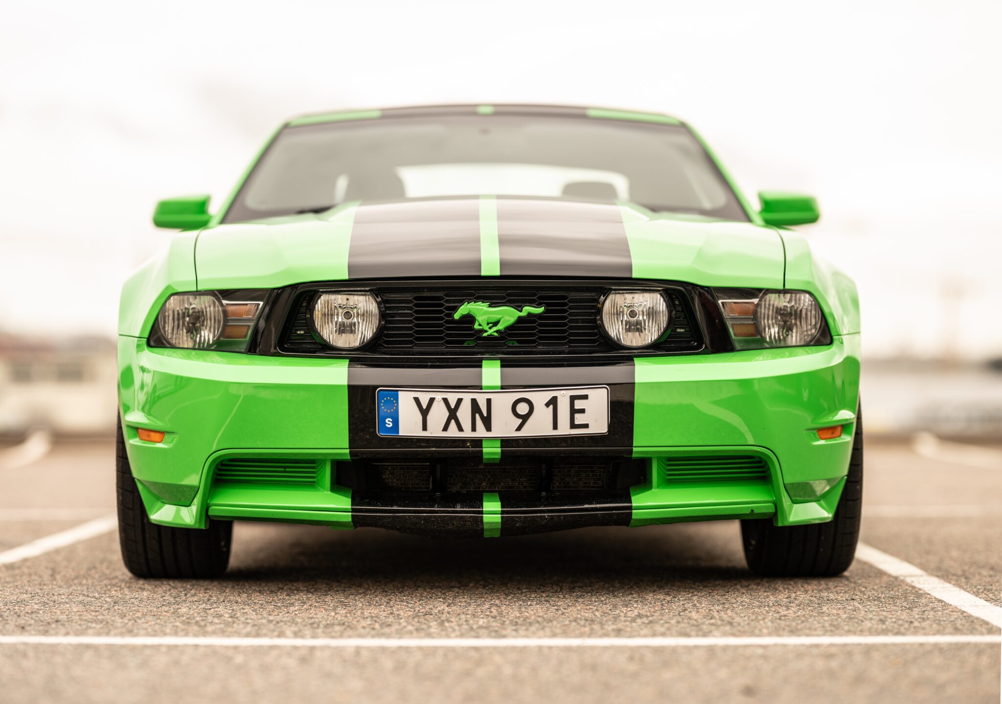 2010 mustang gt