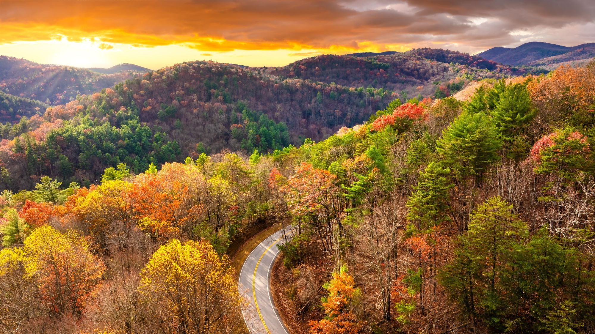 Road trip in fall season through Appalachian forest in Tennessee. Car driving on a winding road under colorful autumn canopy.