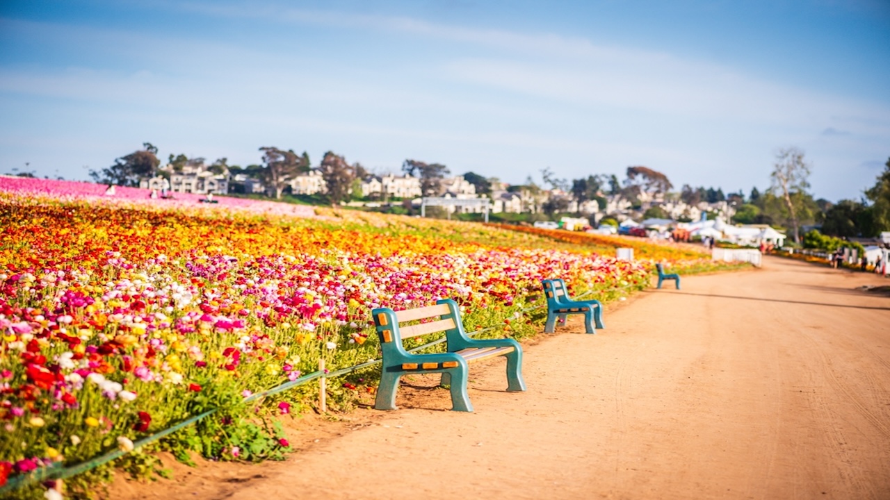 Carlsbad,California