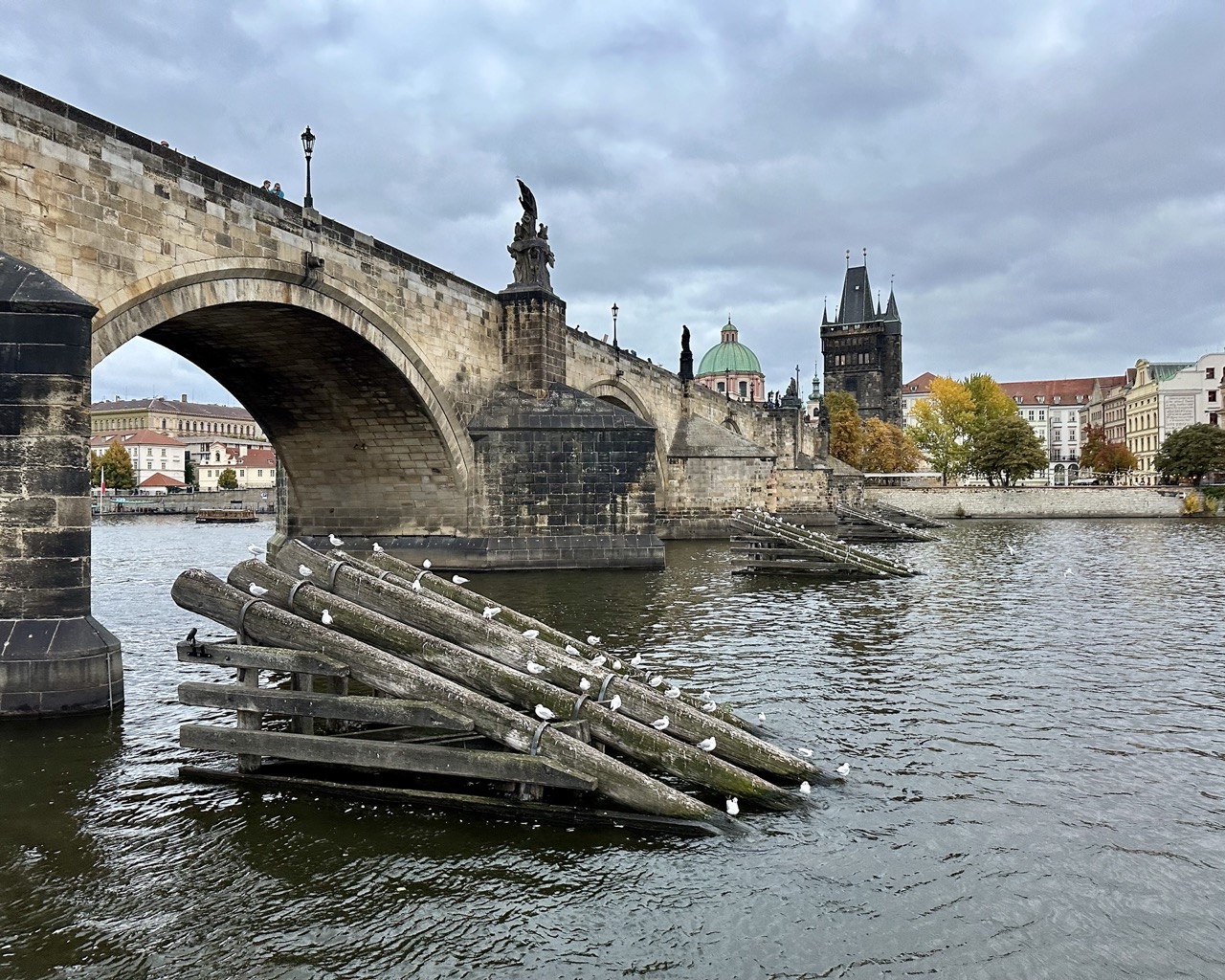 Charles Bridge from a Boat Veronika Primm