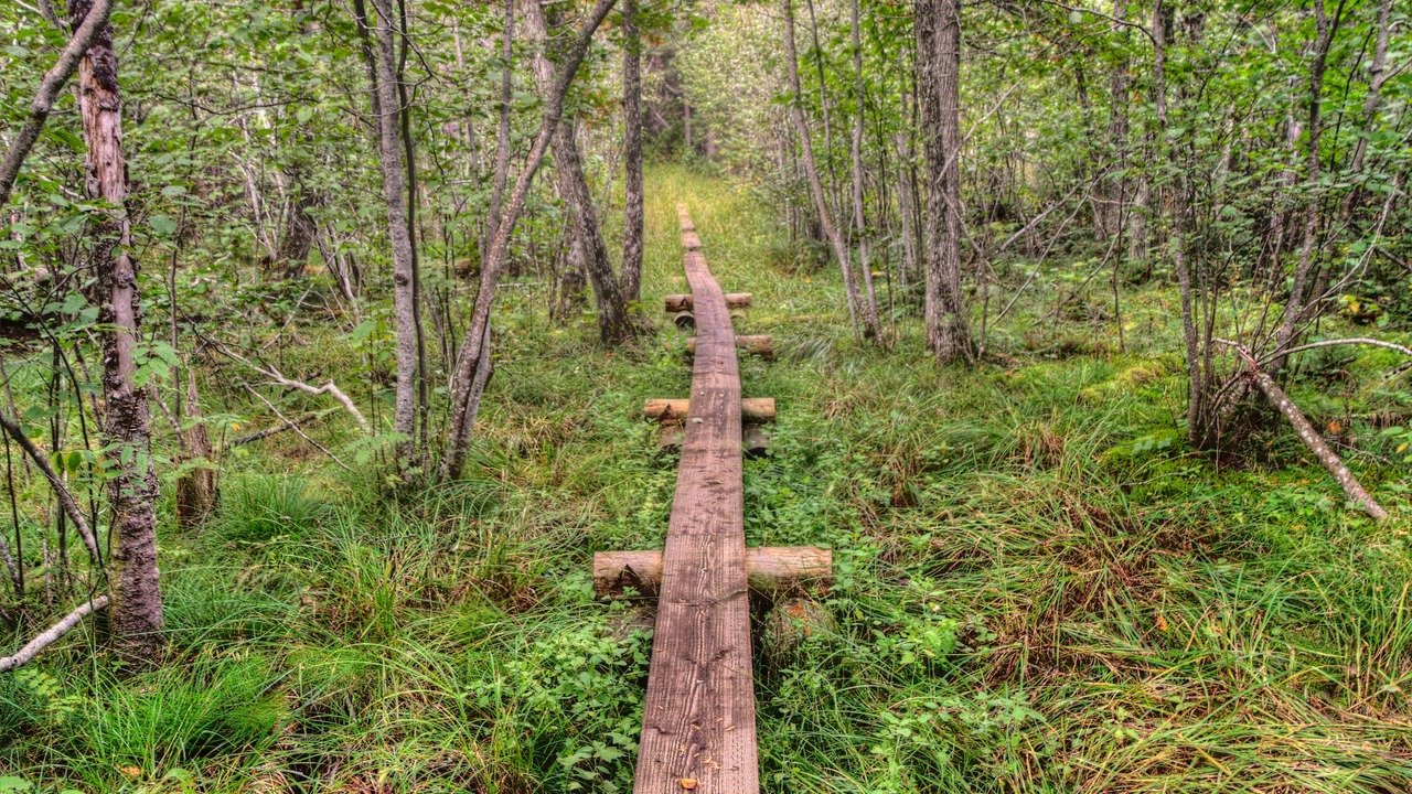 Isle Royale National Park is an Isolated Island in Lake Superior between Minnesota and Michigan
