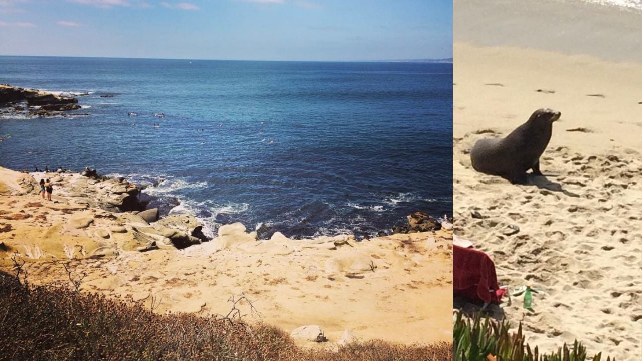 La Jolla Cove