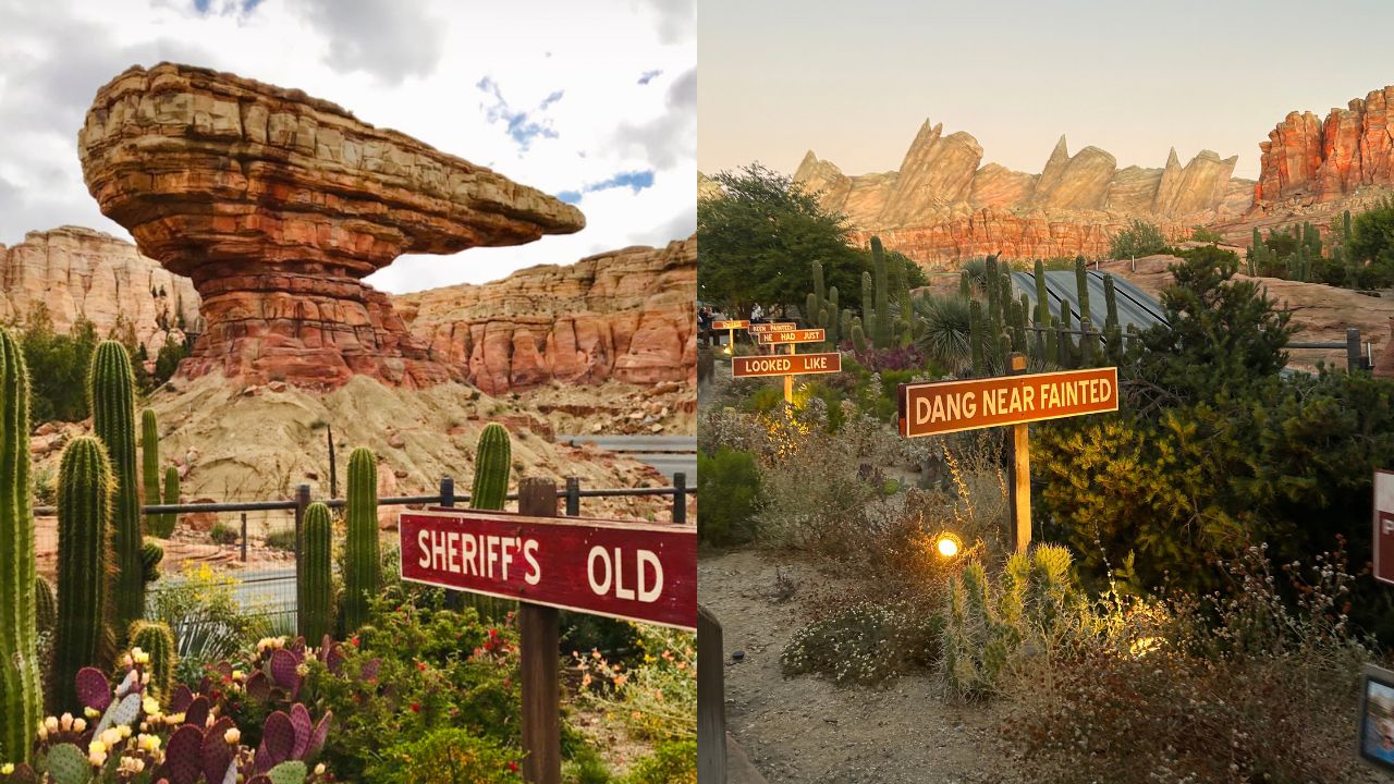 Radiator Spring Racers DCA 1