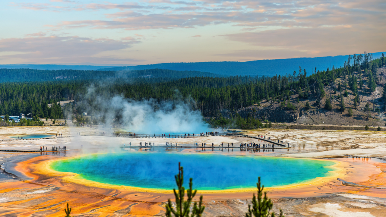 yellowstone national park