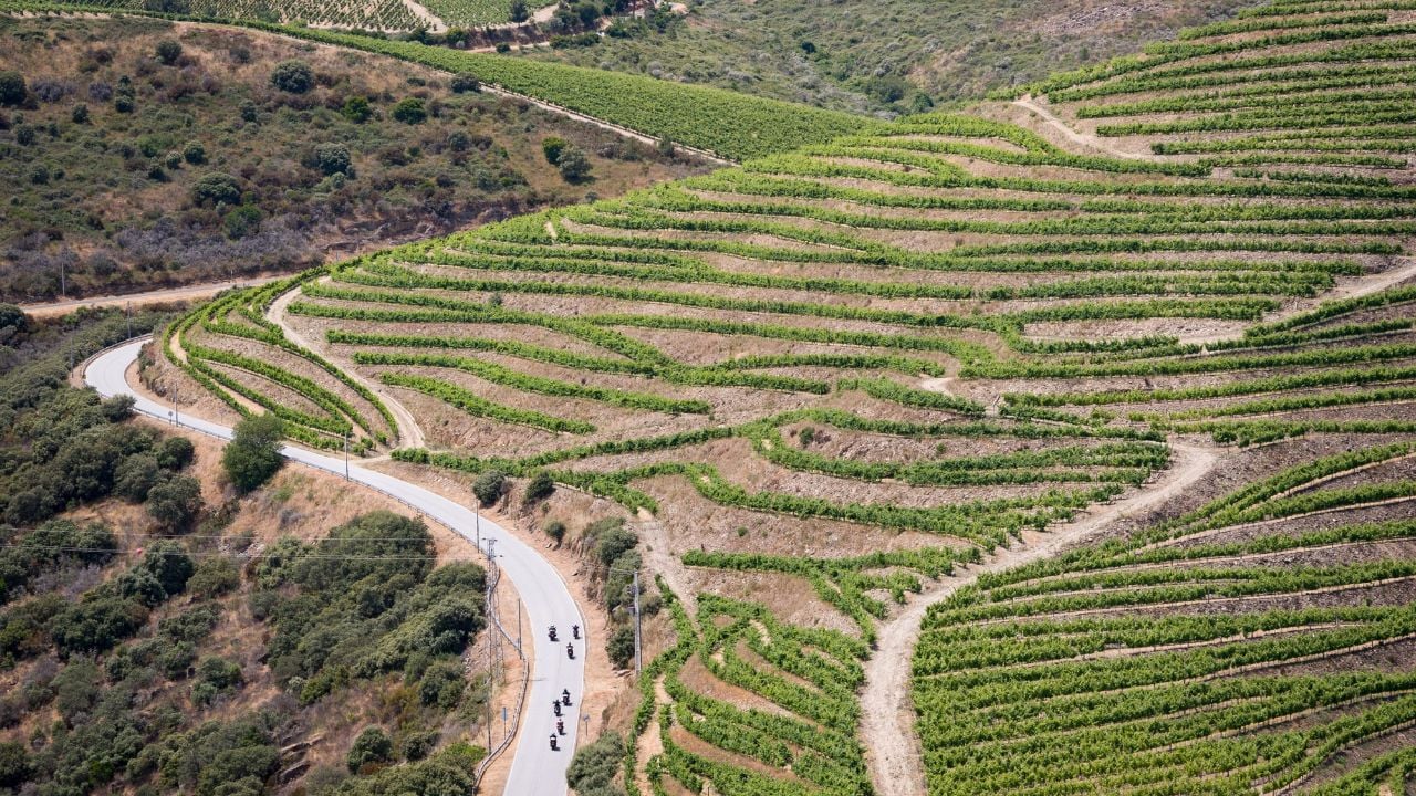 Winding road and terraced vineyards in Portugal's Douro Valley